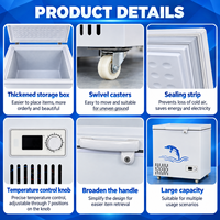 Lemari Pendingin Komersial 200L, Freezer Buka Atas, Pintu Tunggal, OEM ODM, Grosir Pabrik, Partai Besar untuk Dapur Restoran