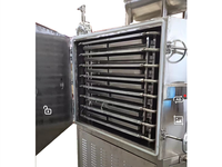 Vacuüm Vriesdrogen Lyofilisator Groente Vriesdroger Lyofilisator Kleine Laboratorium Vacuüm Voedsel Vriesdroogdroger Apparatuur