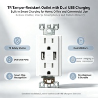 Nordamerikanischer Standard-konformes 15A TR USB-Wandsteckdose BAS15-2USB 2 Typ-A Weiße Doppel-Ladebuchse OEM ODM