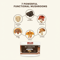 Poudre de café aux champignons de haute qualité au meilleur prix OEM pour un soutien énergétique - Café aux champignons