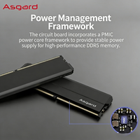 Bulk Wholesale Factory Price Asgard Hela 24GB DDR5 6000 CL42 SS Black Heatsink Desktop RAM Bulk Stock in Stock