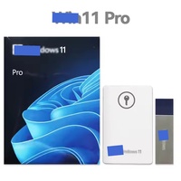 11 Professional FPP USB Perakende Kutusu %100 Global Çevrimiçi Aktivasyonlu Sürüm Lisansı MAC Uyumlu Bilgisayar Yazılımı
