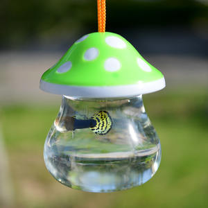 Betta Cup Jellyfish Cup Betta Fish Tank Mini pequeño plástico transparente con seta Cup Fish Tank - Product Image 3