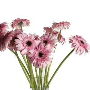 Hoa Vòng hoa Gerbera Chất lượng cao hoa cửa hàng trang trí đám cưới lễ kỷ niệm ngày Valentine quà tặng giáng sinh