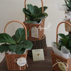 Woven <b>Baskets</b> Round Handmade Storage <b>Basket</b> For Flowers Plants Picnic Organization - Product Image 2