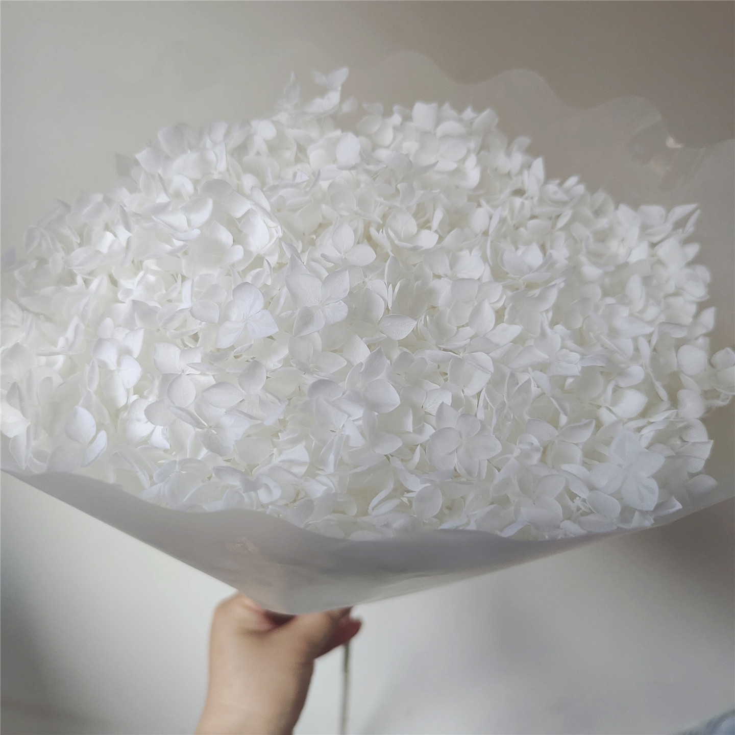 White, 18-21 cm