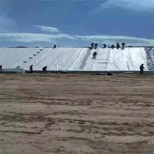 하이 퀄리티 스테이플 섬유 바늘 부직포 지오 텍스타일 250 gsm 토목 프로젝트 도로 안정화