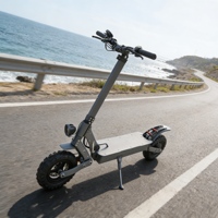 Patinete Eléctrico de Largo Alcance de Alta Calidad, 100 km, Plegable, Motor Dual, Alta Potencia para Adultos, Viajes de Larga Distancia
