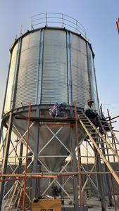 Silo à fond plat isolé galvanisé pour le stockage des céréales, maïs, blé, soja, usine d'aliments pour animaux - Product Image 6