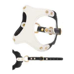 Arnés de cuero premium para perros con logotipo personalizado OEM, acolchado, resistente a las manchas y a los arañazos, para mascotas. - Product Image 1