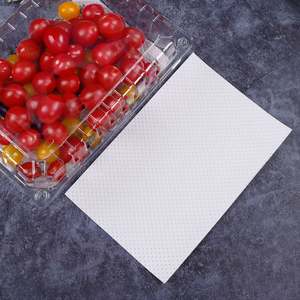 Almohadilla Absorbente Desechable de PE + Pulpa (10x10) para Almacenamiento de Carne Fresca y Frutas en Restaurantes - Product Image 2