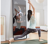 Miroir de salle de bain LED intelligent le plus vendu en usine TV alimenté par Android11 avec WiFi Bluetooth Rectangle de désembuage étanche