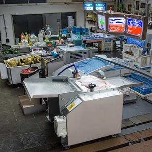 Table Type Fish Peeler Machine Table Type Fish Peeler Machine Fish Processing Machine - Product Image 2