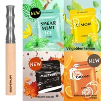 Inhalateur pour arrêter de fumer, bâton d'inhalation aromatique en bois, diffuseur d'aromathérapie sans fumée aux huiles essentielles, dispositif d'aromatisation de l'air