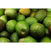 Aceite de Aguacate Virgen de Grado Cosmético y Alimentario, Botella de 250 ml