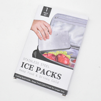 Blocs de glace pour camping, pique-nique, boîte à lunch, refroidissement des aliments et des boissons, glace en acier inoxydable