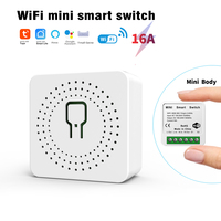 Télécommande Vocale 2 Voies DIY pour Rideau Intelligent 16A DC, Mini Interrupteur Intelligent Tuya Sans Fil Wifi pour Maison Lumière