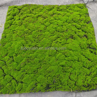 S02520 vente en gros de fausse mousse art mural plante de sphaigne panneau mural de mousse artificielle préservée mousse verte pour la décoration quotidienne de la maison