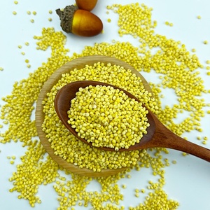Fabricant chinois Nouveau produit 500g <span class=keywords><strong>Millet</strong></span> jaune gluant <span class=keywords><strong>sans</strong></span> <span class=keywords><strong>gluten</strong></span> - Product Image 3