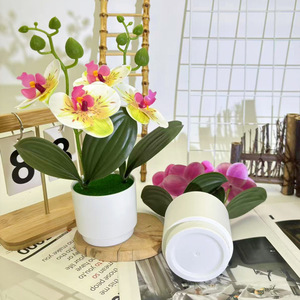 Orchidée Phalaenopsis Paulon en bonsaï, 28 cm de haut, fleur artificielle, décoration intérieure, accessoires de mariage, décoration de la maison - Product Image 4