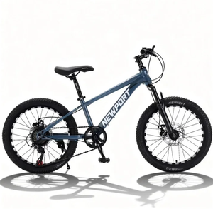 Bicicletta da Montagna Economica da 20 Pollici, Telaio in Acciaio, Marca XY, per Giovani, Vendita all'Ingrosso da Hebei - Product Image 2