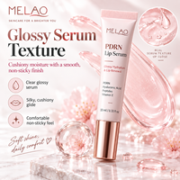 Sérum pour les lèvres au peptide PDRN, effet repulpant, fini brillant, acide hyaluronique, hydratant, non collant, nourrissant, lissant