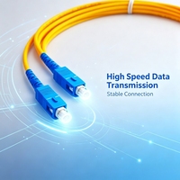Cordon de brassage optique Unionfiber OEM SC APC Simplex Monomode 30cm G652D LSZH pour réseaux FTTH intérieurs