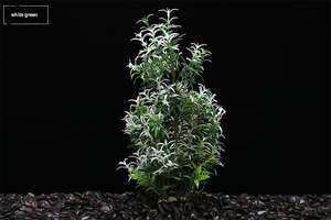 Fournitures pour aquarium, plantes artificielles, décoration de l'aquarium, herbe aquatique de simulation en plastique écologique, <span class=keywords><strong>Levana</strong></span> - Product Image 6