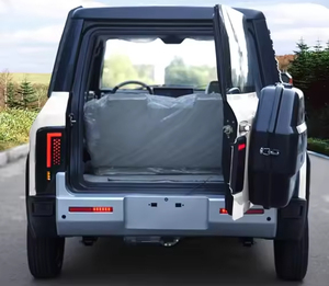 Yetişkinlerin yeni enerji elektrikli Mini araba dört tekerlekli yağ-elektrikli çift amaçlı düşük hızlı yürüyüş pil sol kanatlı için işletilen - Product Image 6