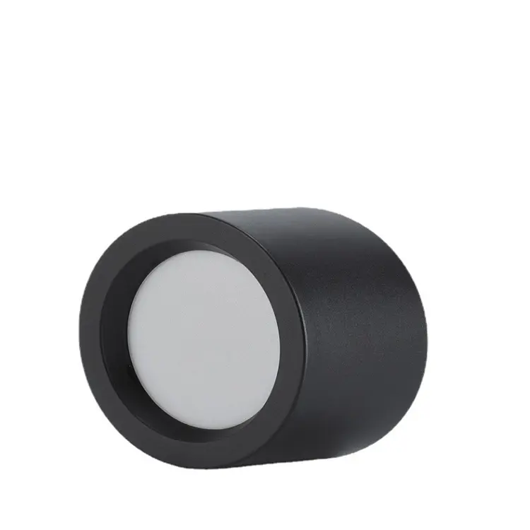 Downlight Led inteligente Iluminación para el hogar Forma redonda Techo Montado en superficie Downlight 10W Tuya Smart Bluetooth RGB Downlight