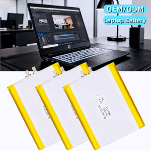 יון פוספט 5200mah 12v 9 וולט 2000mah ליתיום-יון 3v טעינה 1200mah 10000mah 4000mah lion עבור שפירית כ "ס - Product Image 1