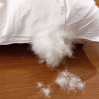 Selimut Duvet Bawah Bulu Selimut Alternatif Bawah Bulu Penggunaan Hotel Bebek Putih Kustom Musim Dingin Katun Teknologi Kerajinan OEM