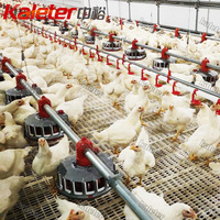 Système d'alimentation automatique pour poulets de chair, avec mangeoire motorisée, matériel d'élevage avicole pour fermes