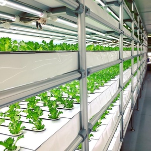 Système de culture vertical hydroponique écologique pour serre PVC NFT creux gouttière/canal pour <span class=keywords><strong>fraise</strong></span> - Product Image 2