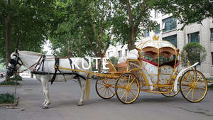 Charrette de Cendrillon pour théâtre communautaire, élégante calèche à chevaux, wagonnette à quatre roues, phaeton pour fêtes - Product Image 6