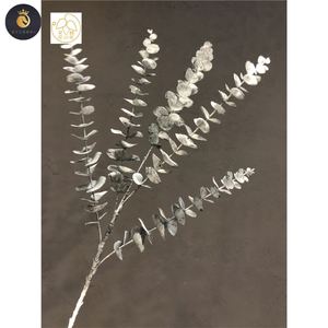<span class=keywords><strong>Zamioculcas</strong></span> ดอกยูคาลิปตัส5แฉกใบไม้สำหรับงานแต่งงานการจัดดอกไม้ - Product Image 6