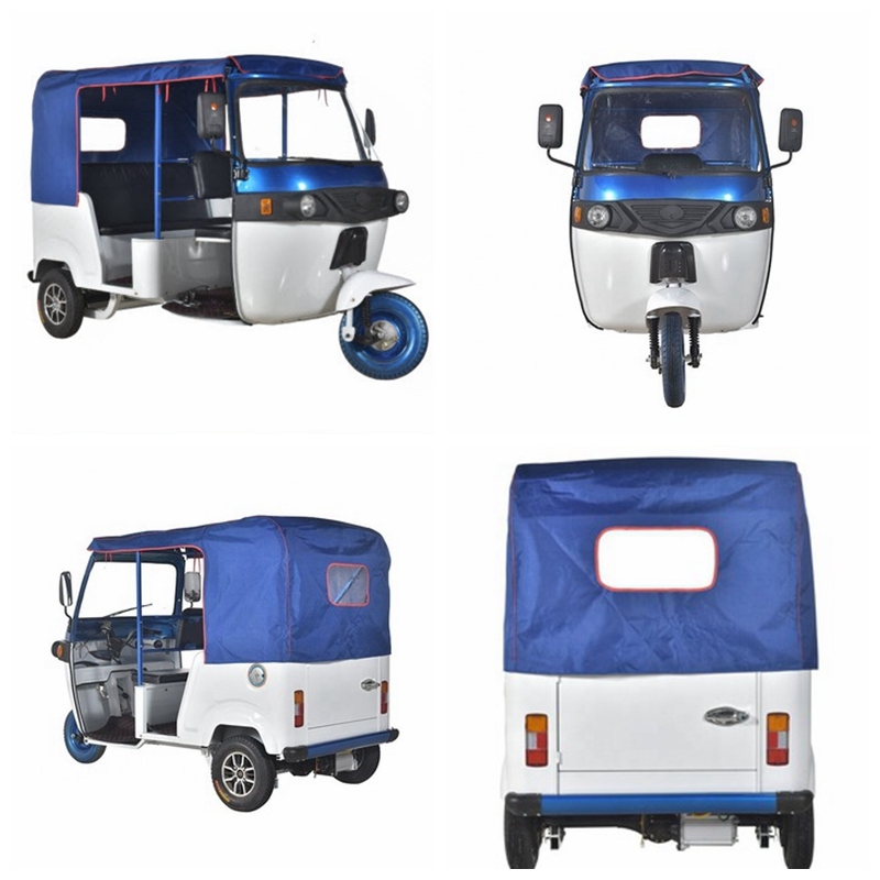 2022 Passenger Cart for Adult 3