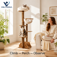 Arbre à chat moderne avec dôme en acrylique, poteau en sisal, perchoir en peluche et base en forme de silhouette de chat, mobilier d'intérieur, vente en gros