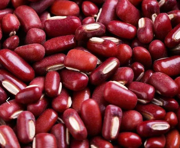 Food Grade Dried Mung Beans High