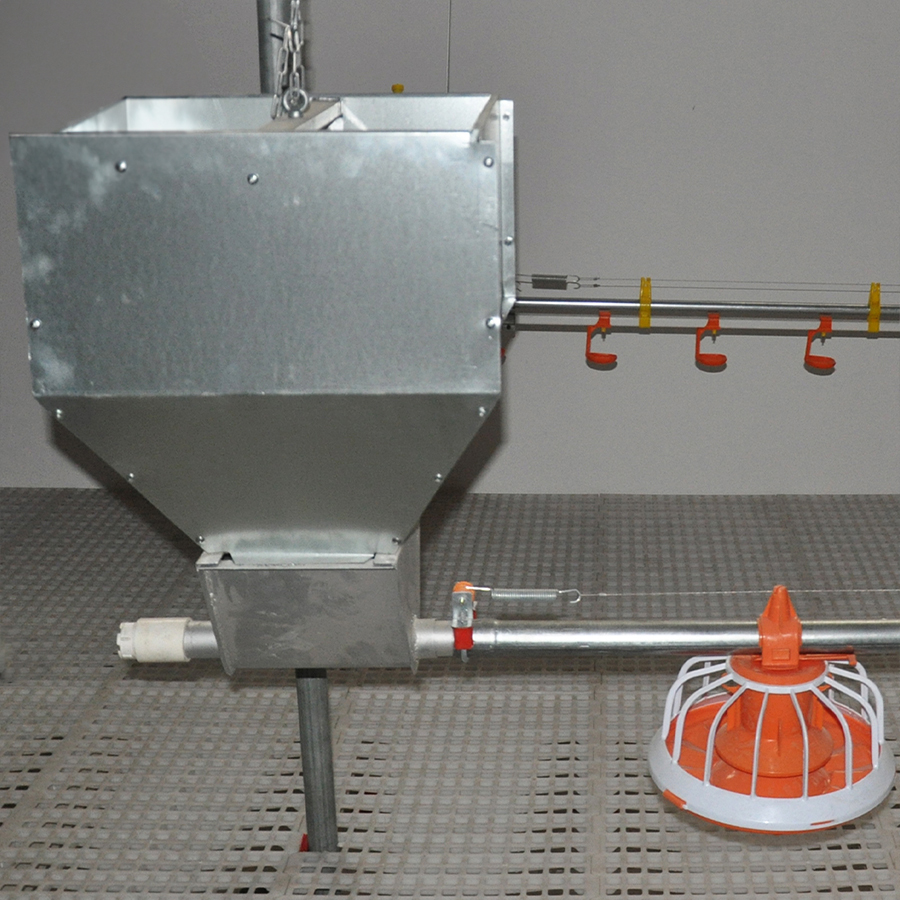 automatic drinkers feeders for poultry