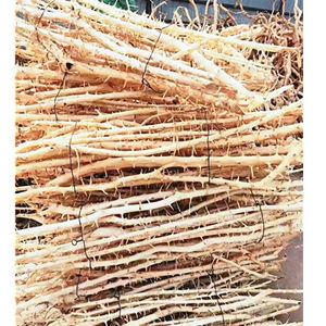 <span class=keywords><strong>Thailand</strong></span> Tak Xi Wortels Drift Hout <span class=keywords><strong>Aquarium</strong></span> Gewei Tak Hout Voor Decoratieve Voor Fish Tank - Product Image 1