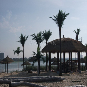 Chi Phí Thấp Nhân Tạo Ngoài Trời <span class=keywords><strong>Palm</strong></span> 3M Dừa <span class=keywords><strong>Palm</strong></span> Bán Buôn Ngoài Trời Sợi Thủy Tinh Nhân Tạo <span class=keywords><strong>Palm</strong></span> Để Bán - Product Image 4