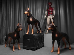 <span class=keywords><strong>Dober</strong></span> pintura Cool perro modelo fibra de vidrio Doberman Pinscher tamaño real mascota tela pantalla fibra de vidrio Doberman maniquí perro modelo - Product Image 5