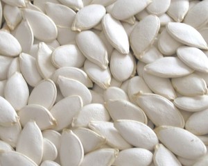 Fresh Lady nail Pumpkin Seeds Alta calidad Snacks Raw 20/25Kg PP Bag - Product Image 2