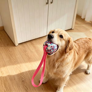 Pelota <span class=keywords><strong>de</strong></span> EVA Multicolor para Perros con Cuerda y Correa, Juguetes para Masticar, Juguetes para Perros para Jugar al Tira y Afloja en el Patio - Product Image 1