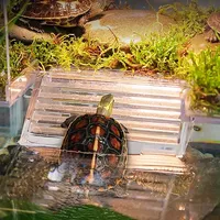Plateforme de bain de soleil pour tortue, rampe antidérapante, île transparente en acrylique légère pour terrarium de reptiles, accessoire d'aquarium