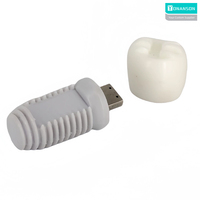 Clé USB pour implant dentaire 100% Clé USB en PVC de forme personnalisée 2.0 3.0 Clé USB 8 Go 16 Go 32 Go Clé USB 64 Go 128 Go Disque U