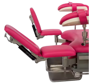 Lekang LK/DS-I Elektrische RVS Gynaecologische Onderzoekstafel met Uitschuifbaar Ontwerp, CE-gecertificeerd, 2 Jaar Garantie, Damesmodel - Product Image 4