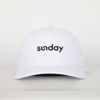 Gorra deportiva personalizada de 5 paneles al por mayor, gorra bordada en 3D, estilo deportivo informal desgastado liso para ciclismo con agujeros láser en la espalda