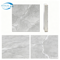 Carreaux de porcelaine écologiques résistants à l'eau MYREAL, motif personnalisé, design moderne aspect marbre pour murs intérieurs, piscines et appartements